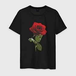 Футболка хлопковая мужская Красивая красная роза, цвет: черный