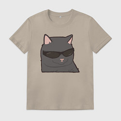 Мужская футболка Серый котик в очках