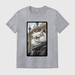 Мужская футболка Санкт-Петербург котик