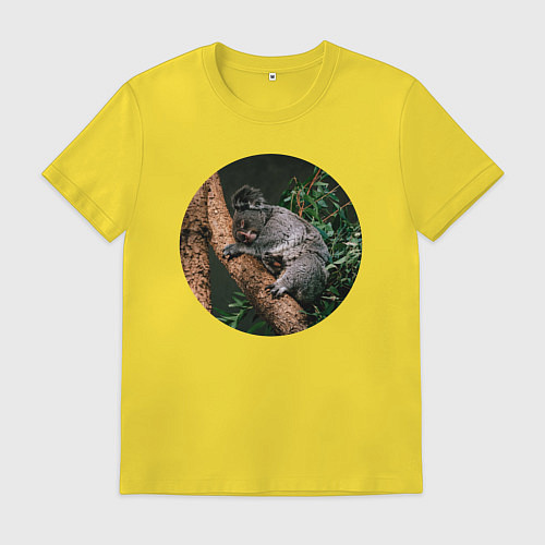 Мужская футболка Коала уснула / Желтый – фото 1