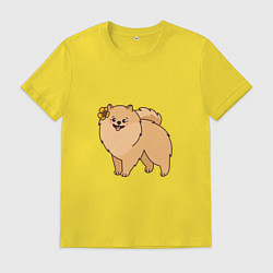 Мужская футболка Милая собачка Шпиц