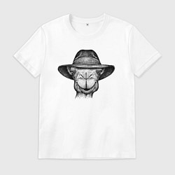 Мужская футболка Верблюд в шляпе