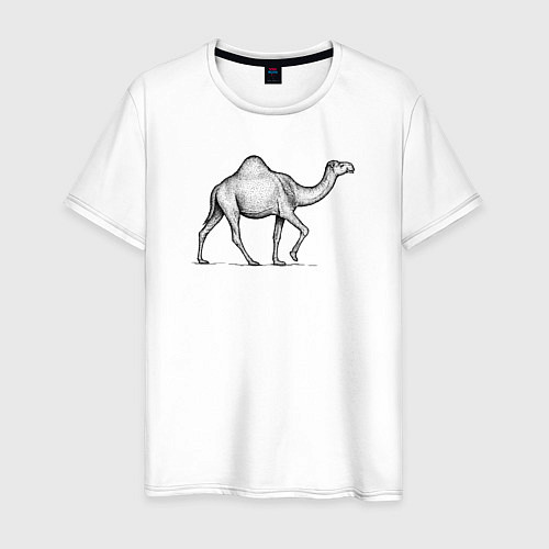 Мужская футболка Верблюд одногорбый / Белый – фото 1
