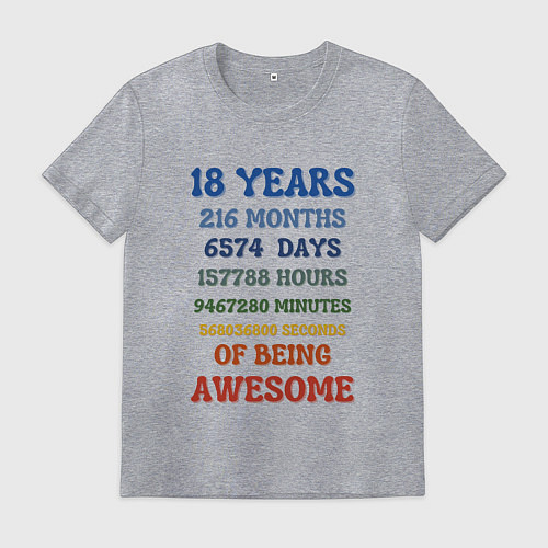 Мужская футболка 18 лет в месяцах - днях - часах - минутах - секунд / Меланж – фото 1