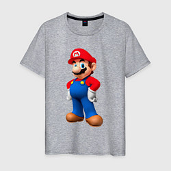 Футболка хлопковая мужская Марио стоит, цвет: меланж