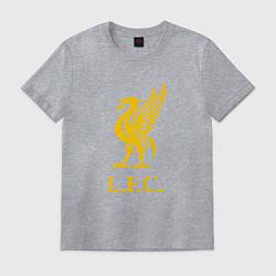 Футболка хлопковая мужская Liverpool sport fc, цвет: меланж