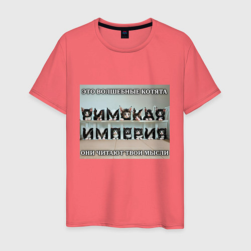 Мужская футболка Римская империя котами / Коралловый – фото 1