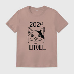 Мужская футболка 2024 - мемный кот