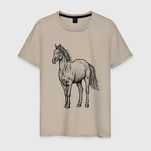 Мужская футболка Лошадь стоит / Миндальный – фото 1
