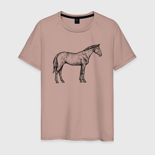 Мужская футболка Лошадь стоит в профиль / Пыльно-розовый – фото 1