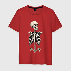 Футболка хлопковая мужская Улыбающийся скелет, цвет: красный