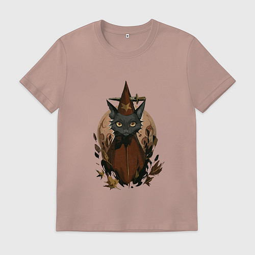 Мужская футболка Мэй Боровски в костюме / Пыльно-розовый – фото 1