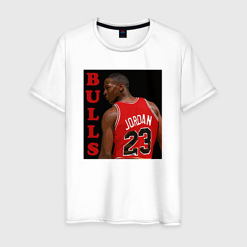 Мужская футболка Bulls Jordan / Белый – фото 1