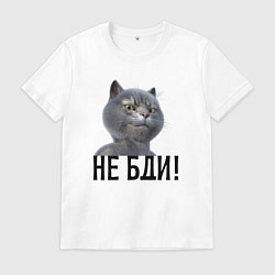 Мужская футболка Высокомерный кот не бди