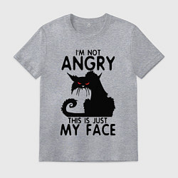 Футболка хлопковая мужская I am not angry cat, цвет: меланж
