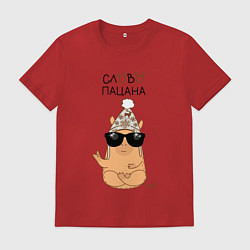 Мужская футболка Капибара: слово пацана