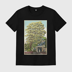 Мужская футболка Хаяо Миядзаки - studio ghibli