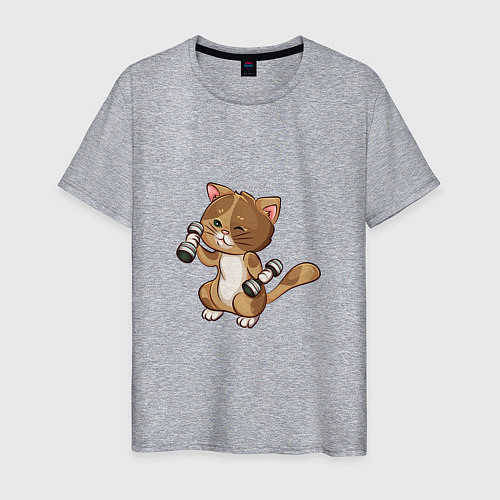 Мужская футболка Кот с гантельками / Меланж – фото 1