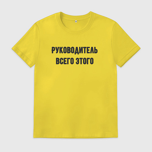 Мужская футболка Руководитель всего этого / Желтый – фото 1