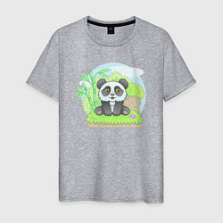Футболка хлопковая мужская Забавная панда, цвет: меланж