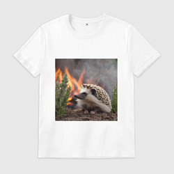 Мужская футболка Ёжик в огне
