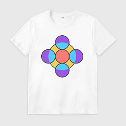 Мужская футболка Круги в кругах