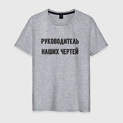 Футболка хлопковая мужская Руководитель чертей, цвет: меланж
