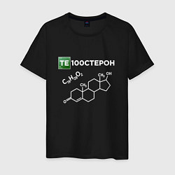 Футболка хлопковая мужская Те100стерон, цвет: черный