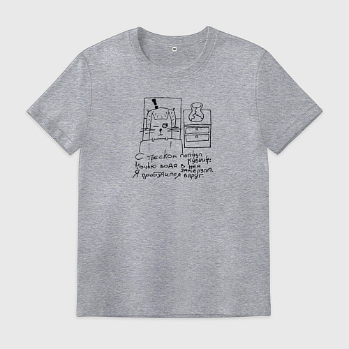 Мужская футболка Кот и кувшин - хайку / Меланж – фото 1