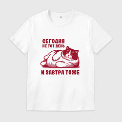 Мужская футболка Недовольный толстый котик сегодня не тот день