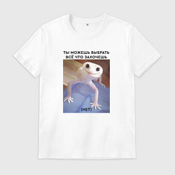Мужская футболка Можешь выбрать себе всё что захочешь - нет