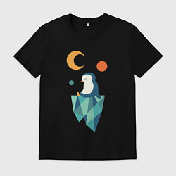 Мужская футболка Пингвин на айсберге