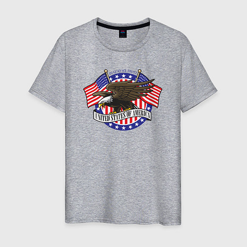 Мужская футболка United States of America / Меланж – фото 1