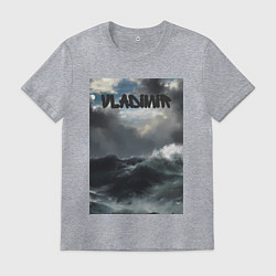 Мужская футболка Vladimir шторм