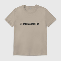 Мужская футболка Эталон занудства