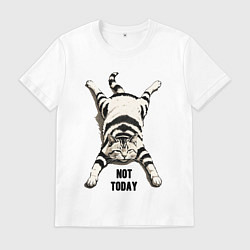 Футболка хлопковая мужская Ленивый кот - not today, цвет: белый