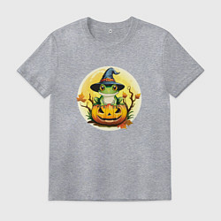 Мужская футболка Лягушка ведьма на тыкве