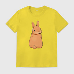 Мужская футболка Кролик с прической
