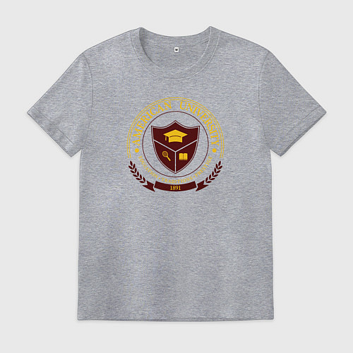 Мужская футболка University emblem / Меланж – фото 1