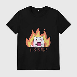 Мужская футболка Котик в порядке