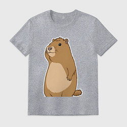 Мужская футболка Прекрасная капибара