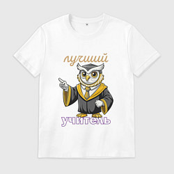 Мужская футболка Лучший учитель этой профессии