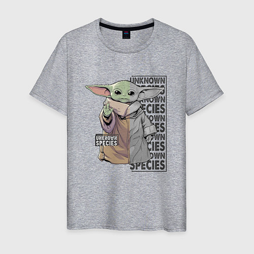 Мужская футболка Unknown specis - Baby Yoda / Меланж – фото 1