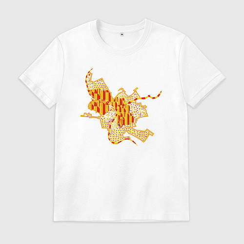 Мужская футболка Омск / Белый – фото 1