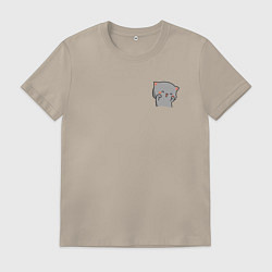 Мужская футболка Серый милый котик для пары