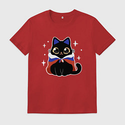 Мужская футболка Кот с флагом
