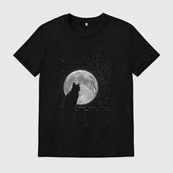 Мужская футболка Кот при луне
