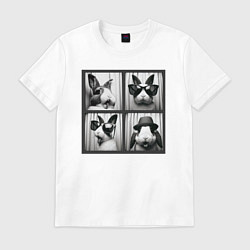 Футболка хлопковая мужская Кролик в фотобудке, цвет: белый