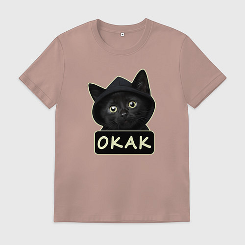Мужская футболка Кот в капюшоне, окак, мем / Пыльно-розовый – фото 1