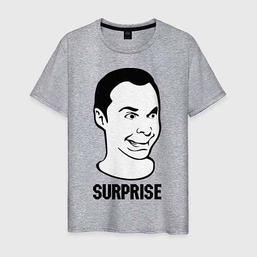 Мужская футболка Sheldon surprise / Меланж – фото 1